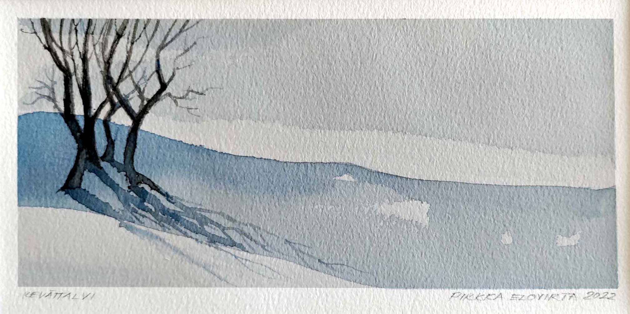 vesiv&auml;rity&ouml;